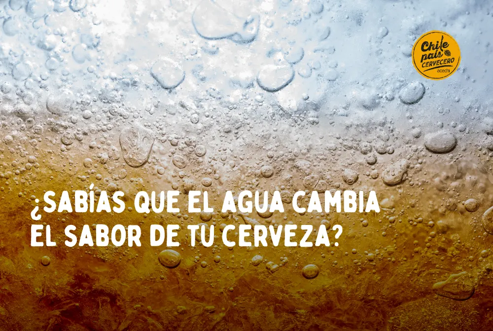 Primer plano de burbujas en cerveza, ilustrando cómo el agua y sus minerales cambian el sabor y el terroir cervecero.