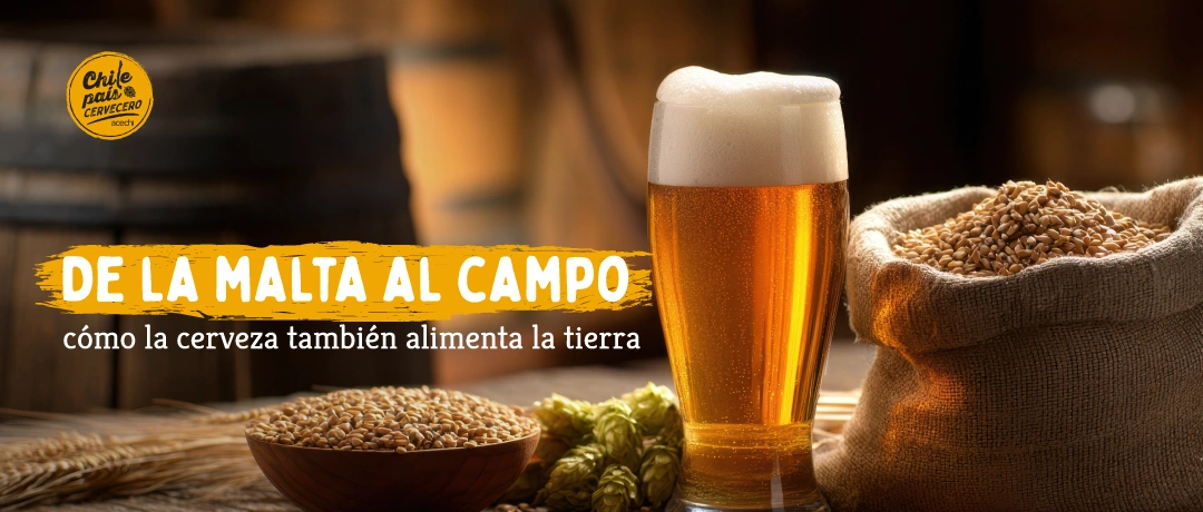 Vaso de cerveza junto a granos de cebada representando el ciclo sustentable del bagazo cervecero