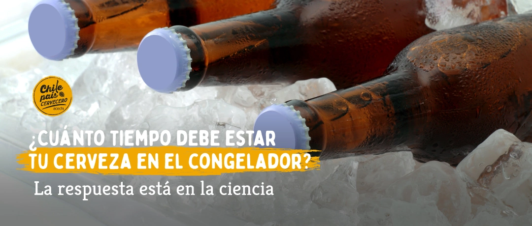 Botellas de cerveza sobre hielo mostrando el enfriamiento ideal sin congelarse